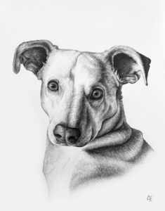 Lucky Portrait by Charlie Franco