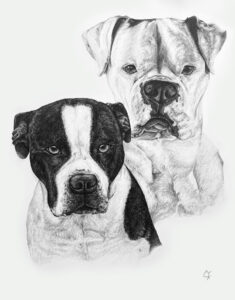 Peanut & Daisy Portraits by Charlie Franco